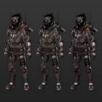 Raider Vandal